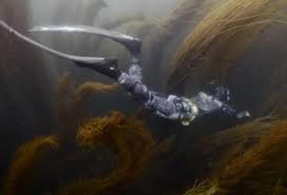Gite Entre Mer Et Abers Landéda Екстериор снимка