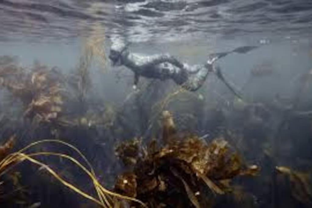 Gite Entre Mer Et Abers Landéda Екстериор снимка