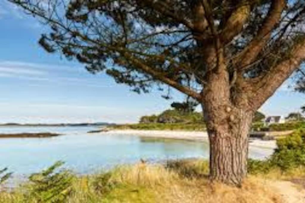 Gite Entre Mer Et Abers Landéda Екстериор снимка